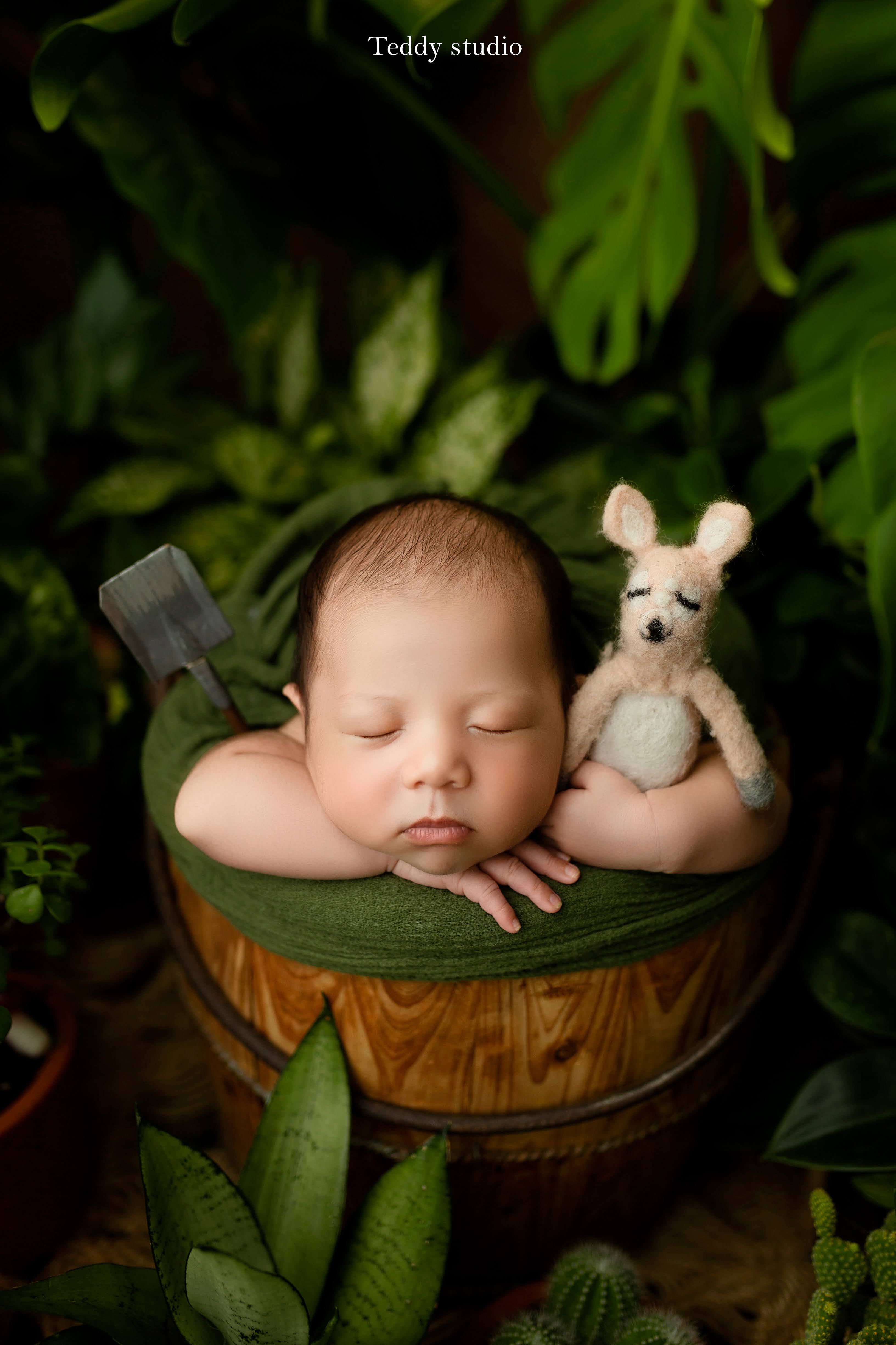 Chụp ảnh newborn tại Teddy Studio